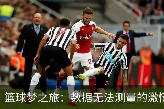 篮球梦之旅：数据无法测量的激情与骄傲